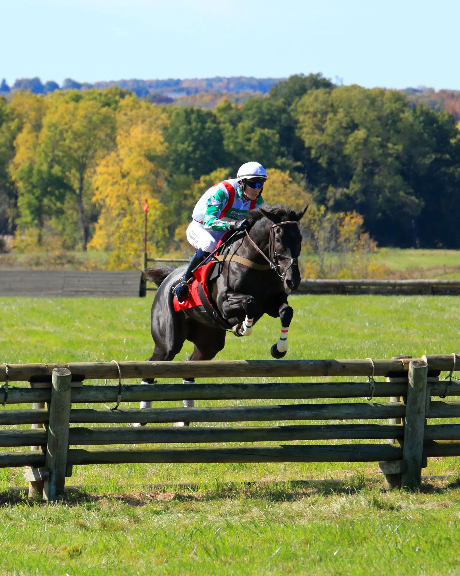 Cheval bai foncé au-dessus d’un obstacle à roues de bois, cavalier en veste noire penché sur l’encolure