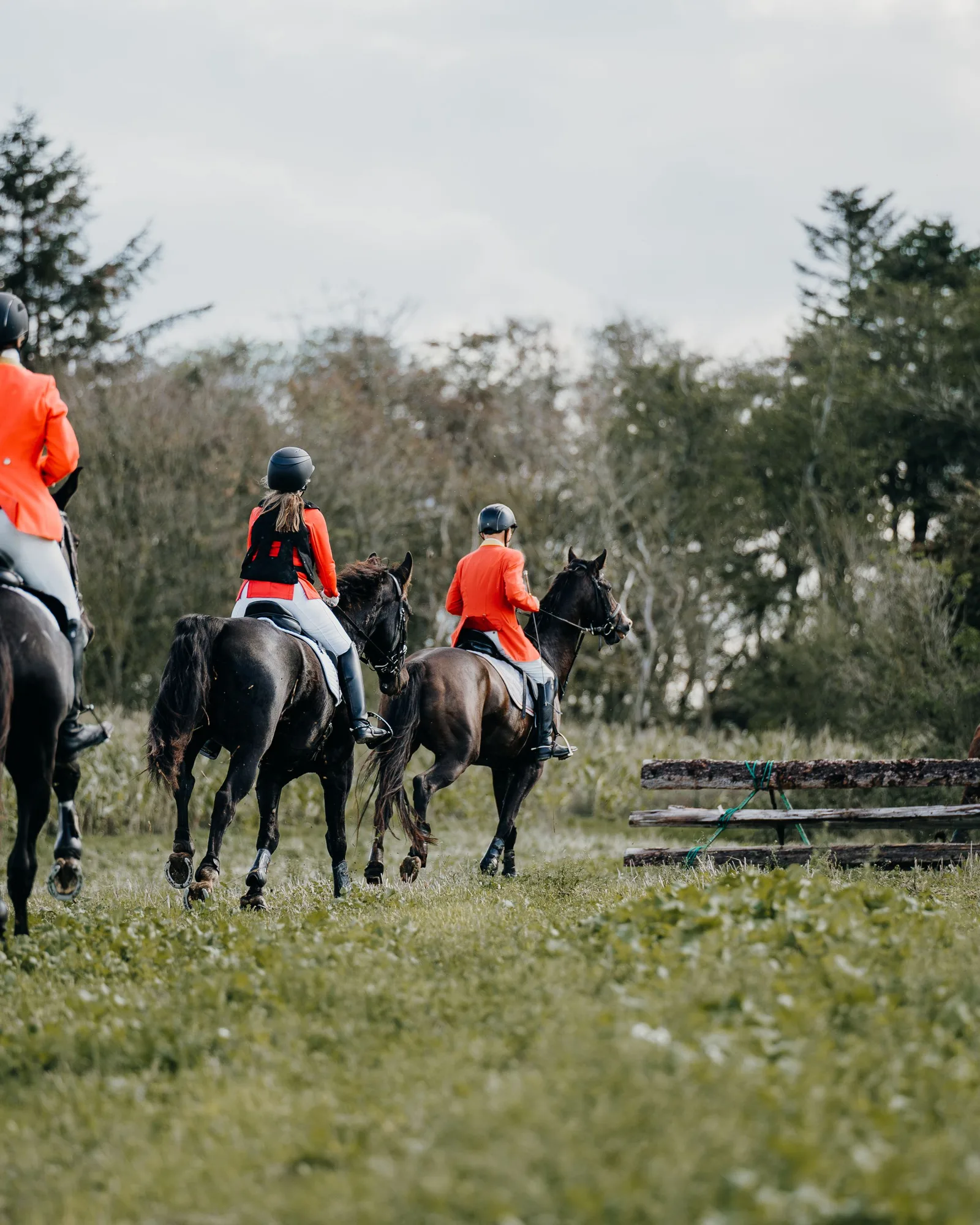 Cavalière sur un cheval noir à tapis orange qui tourne en sortant d’un obstacle, sous les pins